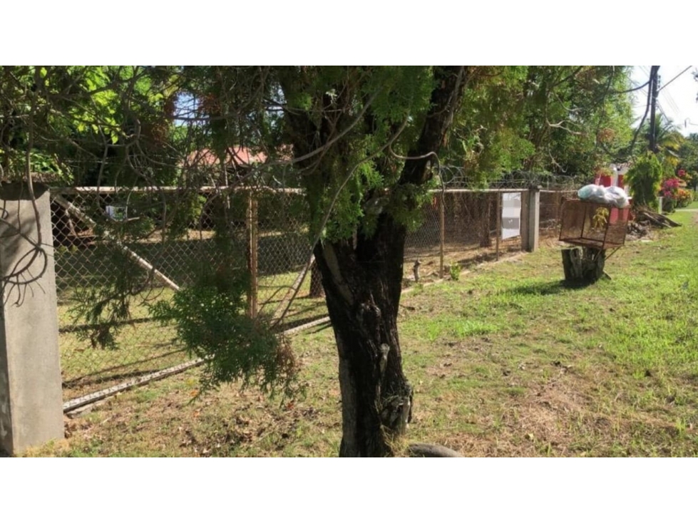 CORONADO / TERRENO A POCOS MINUTOS DE LA PLAYA / 1158M2 / AMPLIO — foto 3