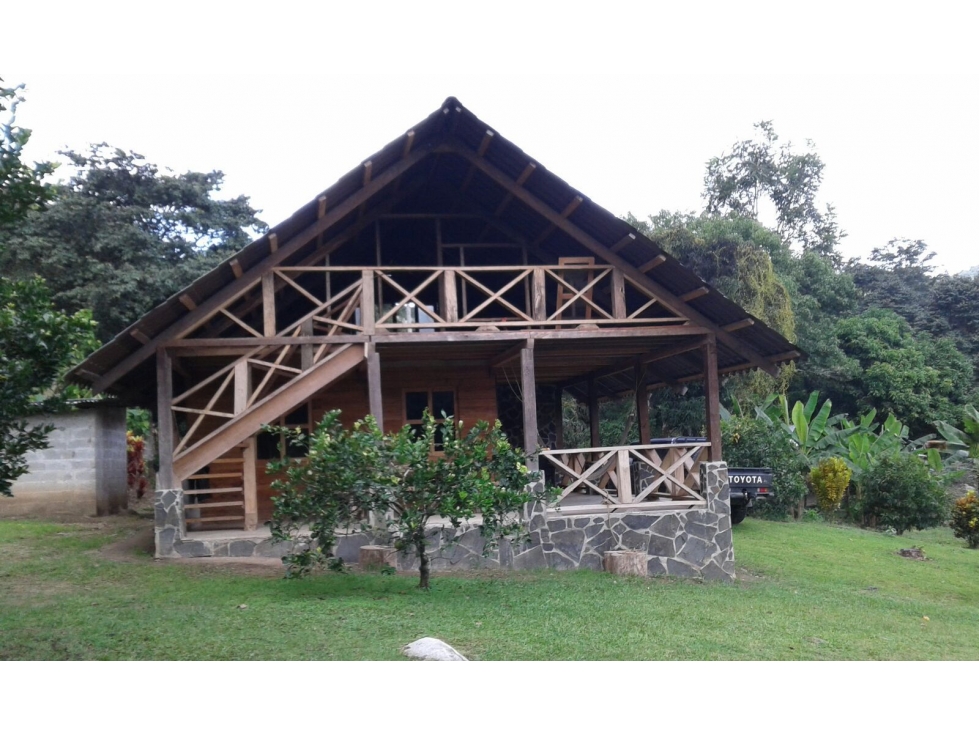 CERRO AZUL / FINCA CON CABAÑA / 52 HECTAREAS / RIO Y CASCADAS - 3