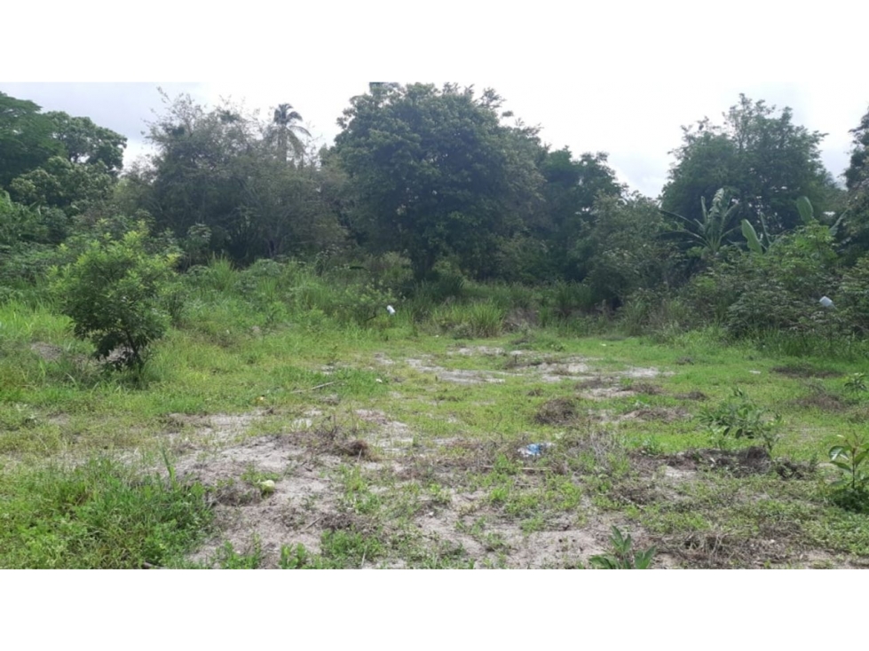 PLAYA CORONA / TERRENO / 5914M2 / CERCA DE LA PLAYA / ZONAS VERDES — foto 2