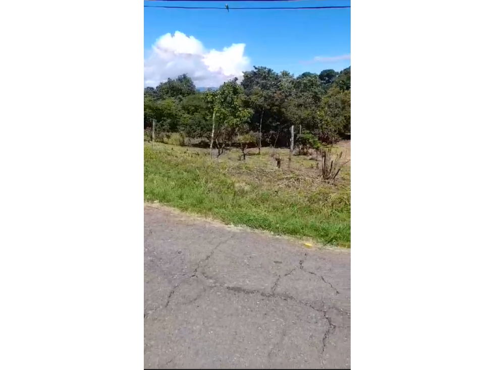 SAN CARLOS / PLAYA CORONA / 3755M2 / CALLE ASFALTADA