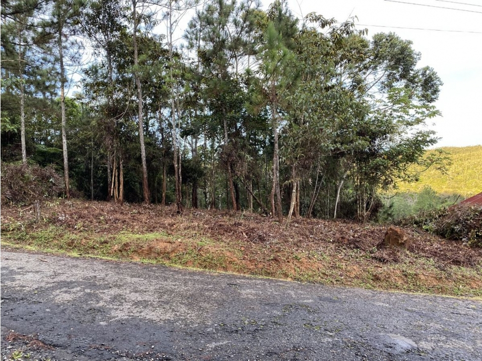 CERRO AZUL / FINCA ALTOS DEL GUARDIAN / 1844 M2 - 1