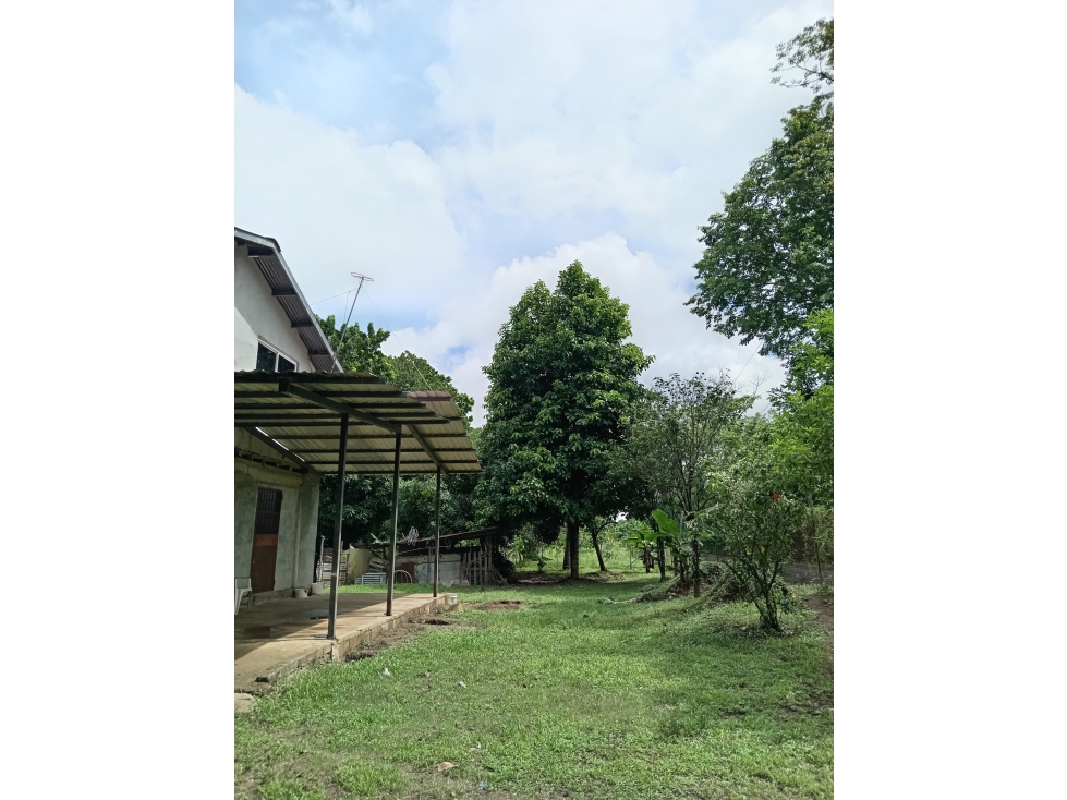 TERRENO CON CASA / SAN MARTIN / 4,565M2 - 3