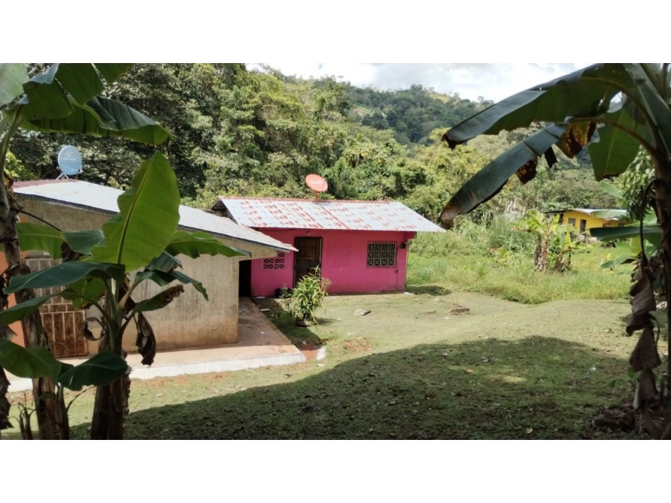TERRENO / COLON / BUENA VISTA / 16570M / CON 2 CASAS / SOBRE VIA - 3