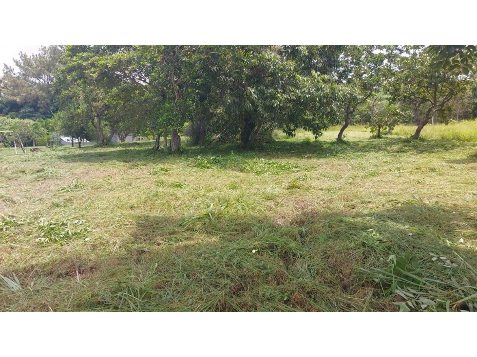 TERRENO / CORONADO / 1,198 M2 / LOTE PLANO / DENTRO DEL CLUB — foto 3