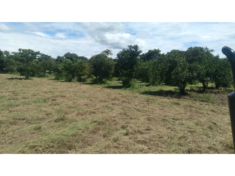 TERRENO / CORONADO / 37,789M2 / DENTRO DE LA GARITA / BOULEVARD