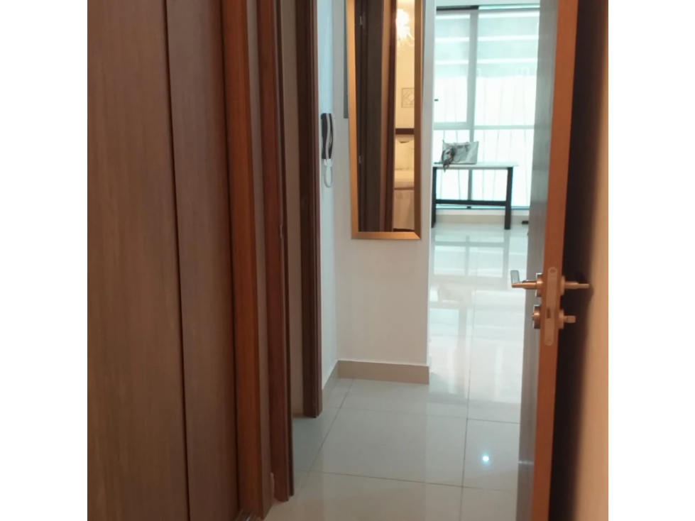SE VENDE APARTAMENTO EN PH DOWNTOWN DE 1 HABITACION 50M2 — foto 3