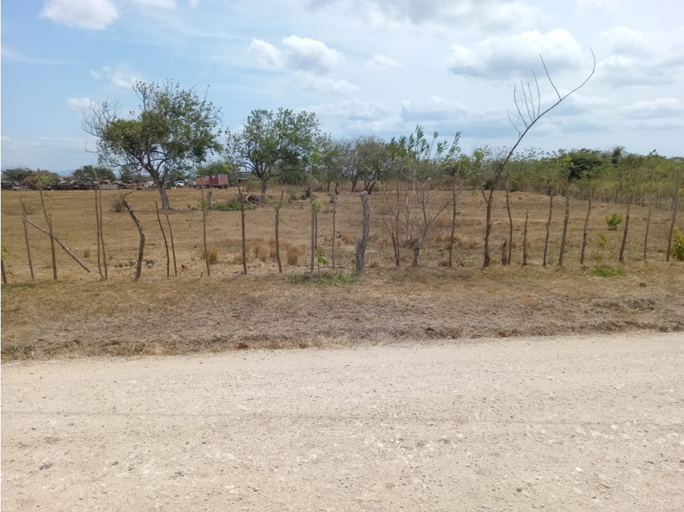 PENONOME / TERRENO / 3.538.81M2 - 2
