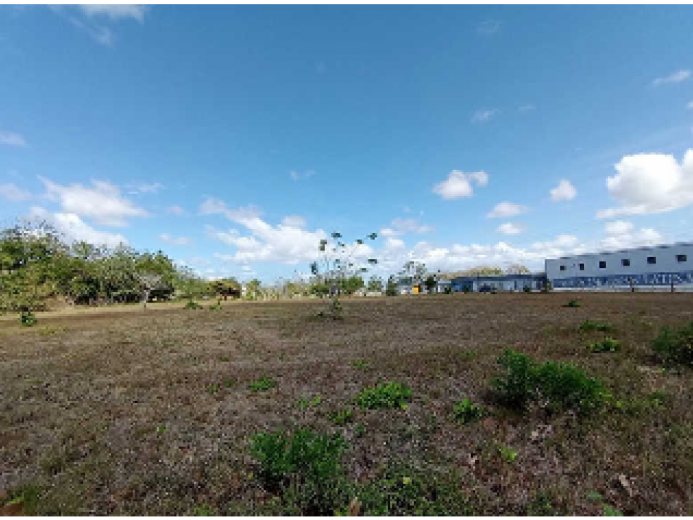 SE VENDE TERRENO COMERCIAL EN PENONOME 13473M SOBRE VIA INTERAMERICANA - 3