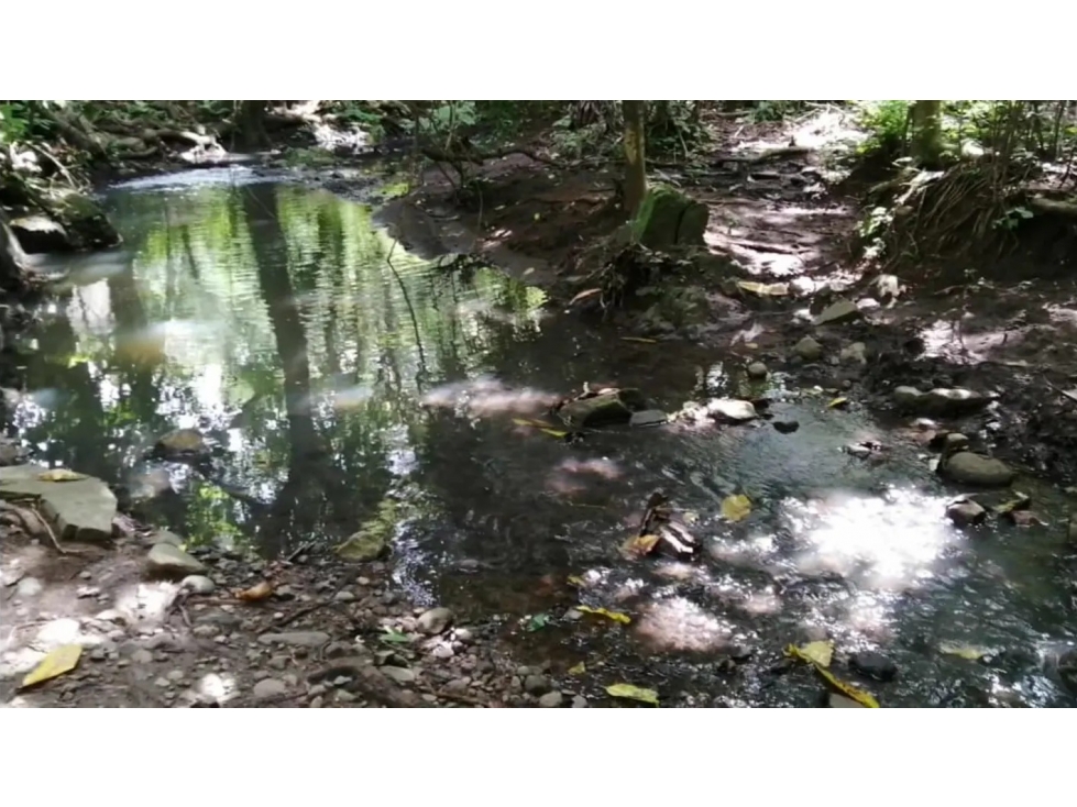 CAPIRA / CERMEÑO / FINCA / 88 HECTAREAS / 5 LAGOS - 3