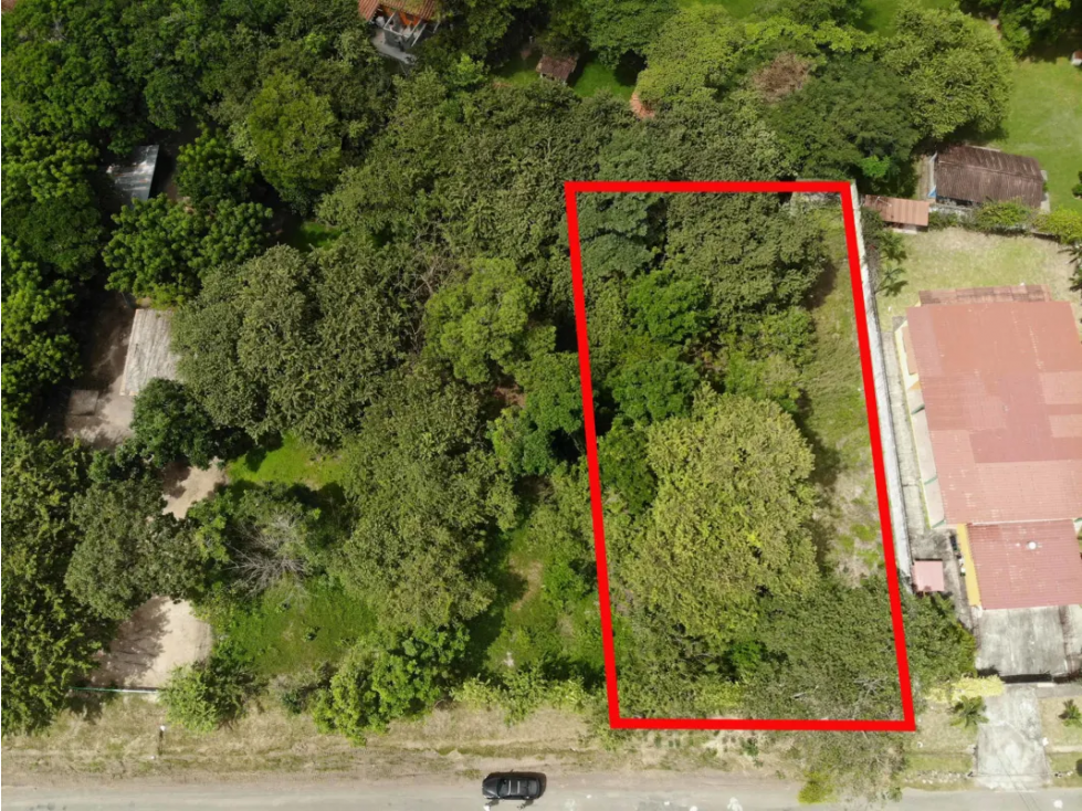 CORONADO / TERRENO / 994 M2 / PLANO / PLAYA / ZONAS VERDES - 2