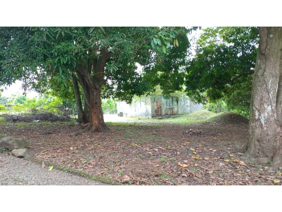 TERRENO / 24 DE DICIEMBRE / CABUYITA / 1800 M2 / ORILLA DE CALLE - 3