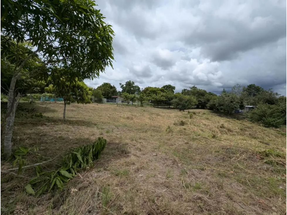 GANGA / RIO HATO / TERRENO / 3400 M2 / PUNTO ALTO / PLAYA - 2