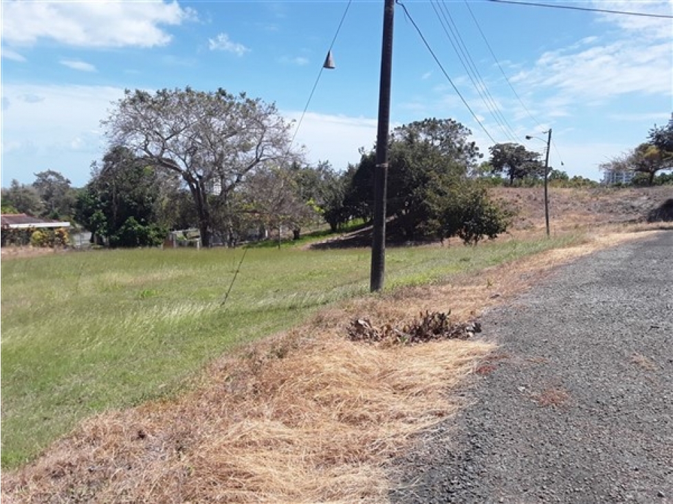TERRENO / SAN CARLOS / PLAYA CORONA / 1112 M / CALLE ASFALTADA — foto 3