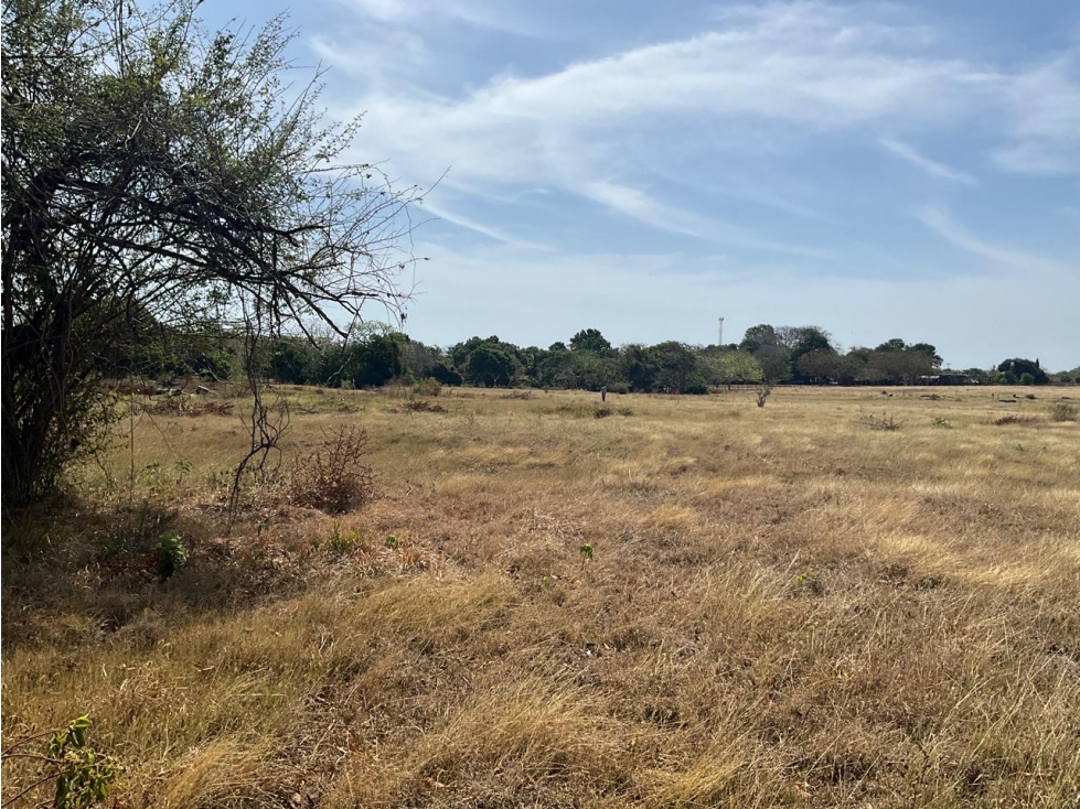 LAS TABLAS / FINCA / 3 HECTAREAS / POZO DE AGUA - 1