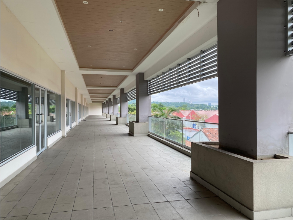 LOCAL COMERCIAL / PASEO ALBROOK / 317M / PLANTA ALTA