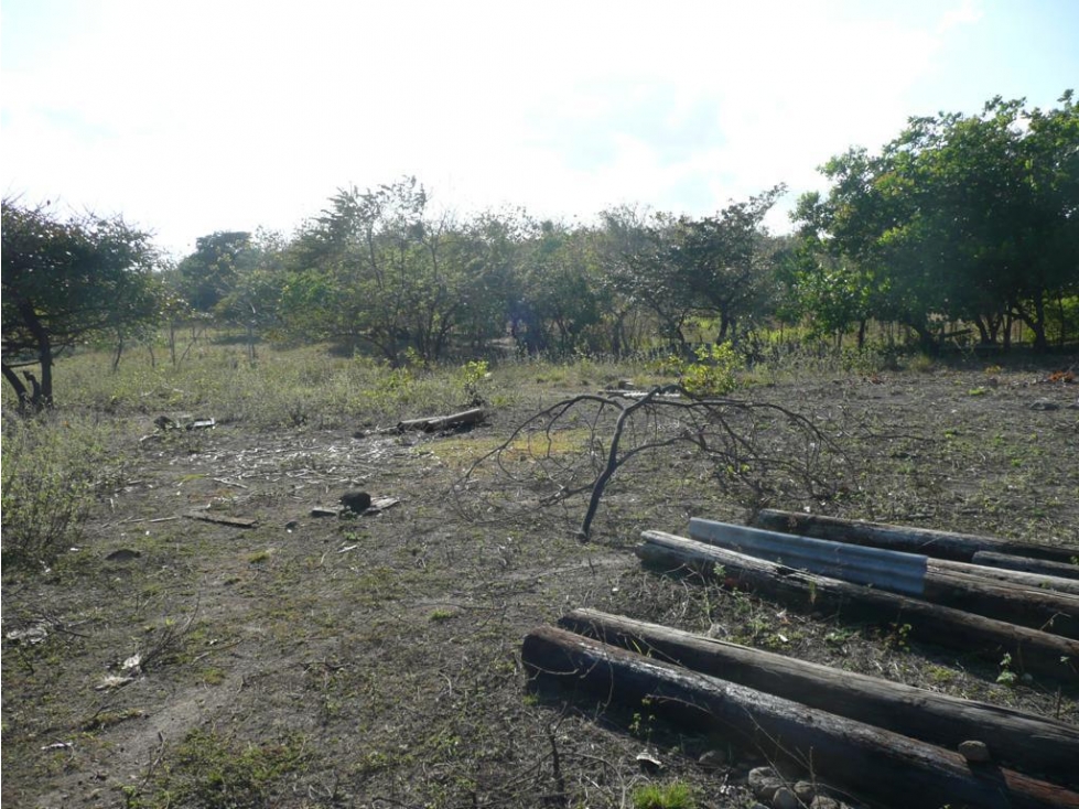 SAN CARLOS / SAN JOSE / TERRENO 2.3 HECTAREAS / POZO DE AGUA JC — foto 6