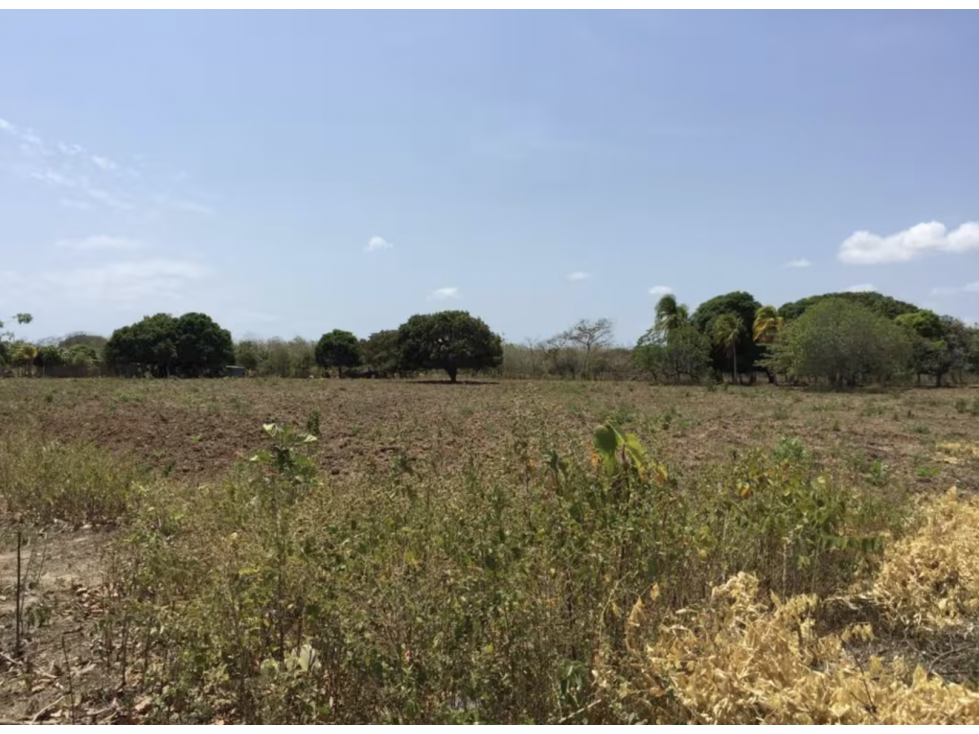 TERRENO / COCLE / RIO HATO / 17,725M / A 300M DE LA PANAMERICANA JC - 2