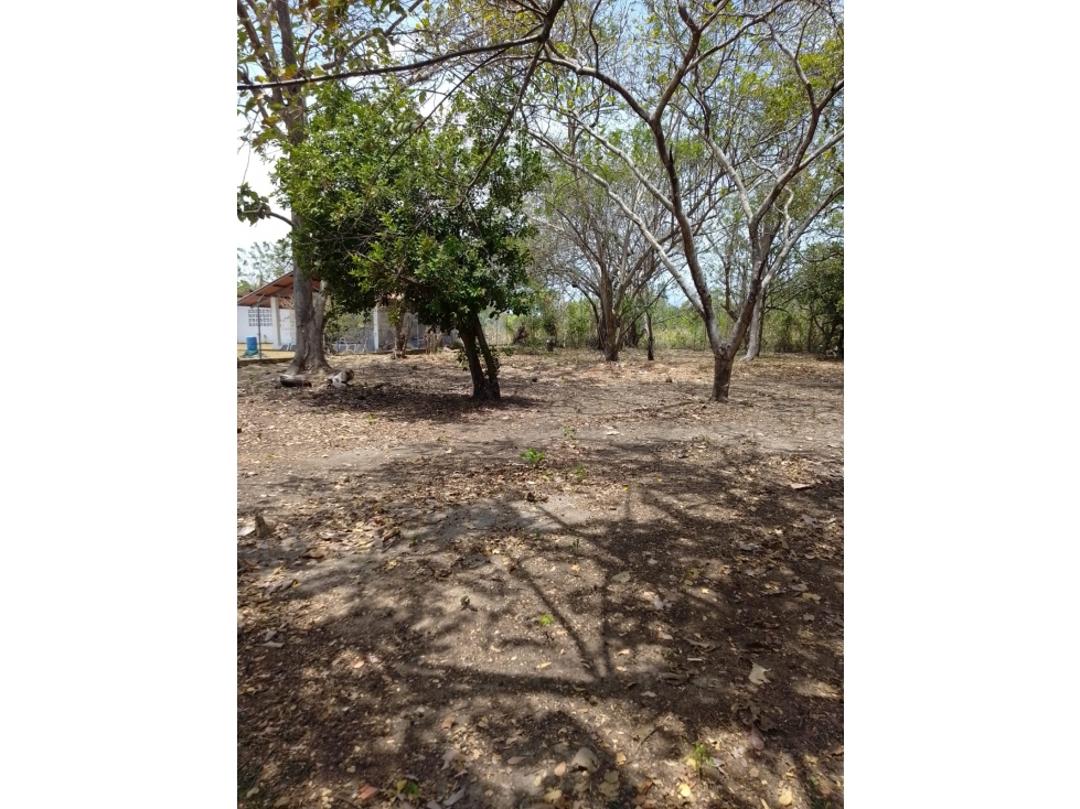 CHAME / CORONADO / TERRENO PLANO / 1000M / CERCA DE PLAYA / AG — foto 3