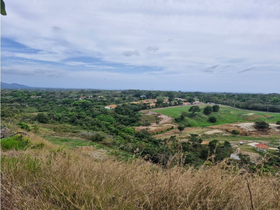 CHAME / LAS LAJAS / 25000M / TERRENO / COLINDA CON RIO / AG — foto 2