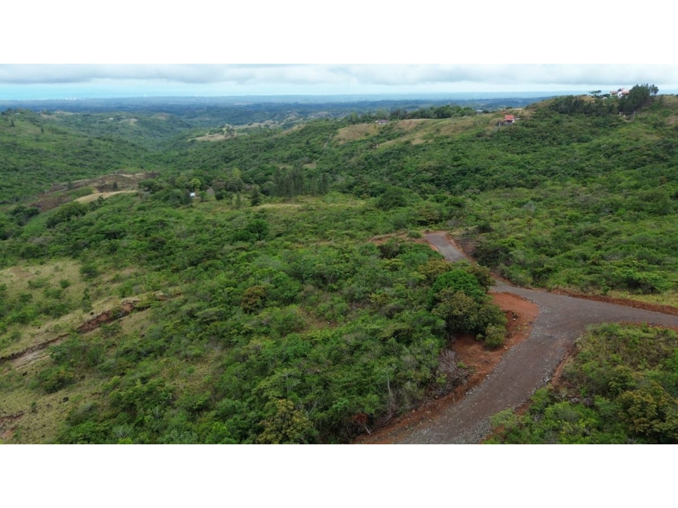 SE VENDE TERRENO 1000M EN SAN CARLOS EL NANCITO SOBRE LA VIA - 1