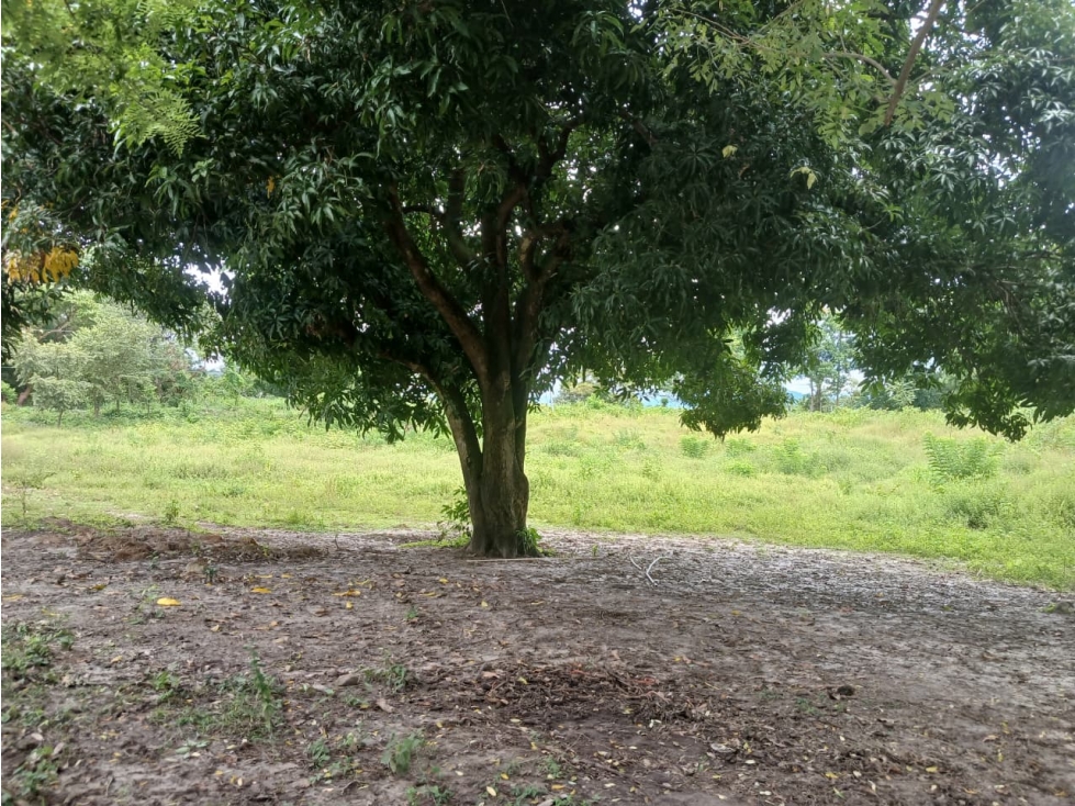 LAS LAJAS / CHAME / TERRENO / 1000 M / AG — foto 2