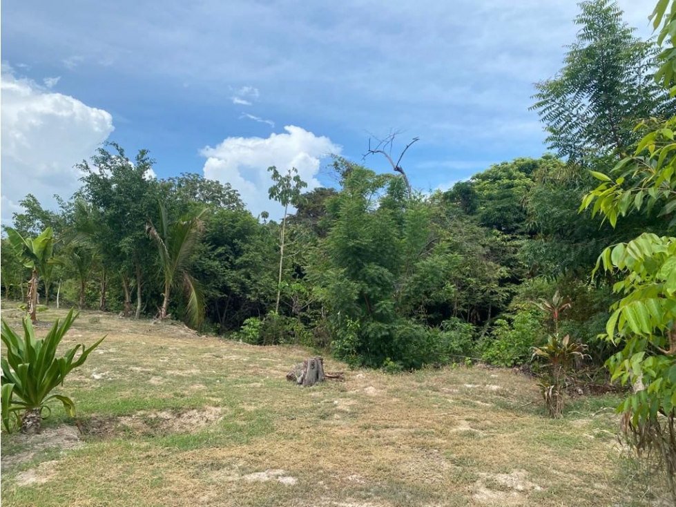 LAS GUIAS / COCLE / 8244 M / CERCA DE PANAMERICANA / PLAYA AG - 5