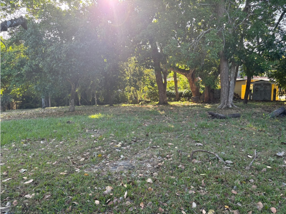 COCLE / SANTA CLARA / TERRENO / 5000 M / SOBRE LA VIA / CERCADO / AG - 2