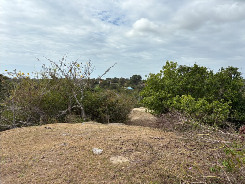 SAN CARLOS / LAS LAGARTIJAS / 250000M / GANADERIA / USO COMERCIAL AG — foto 2
