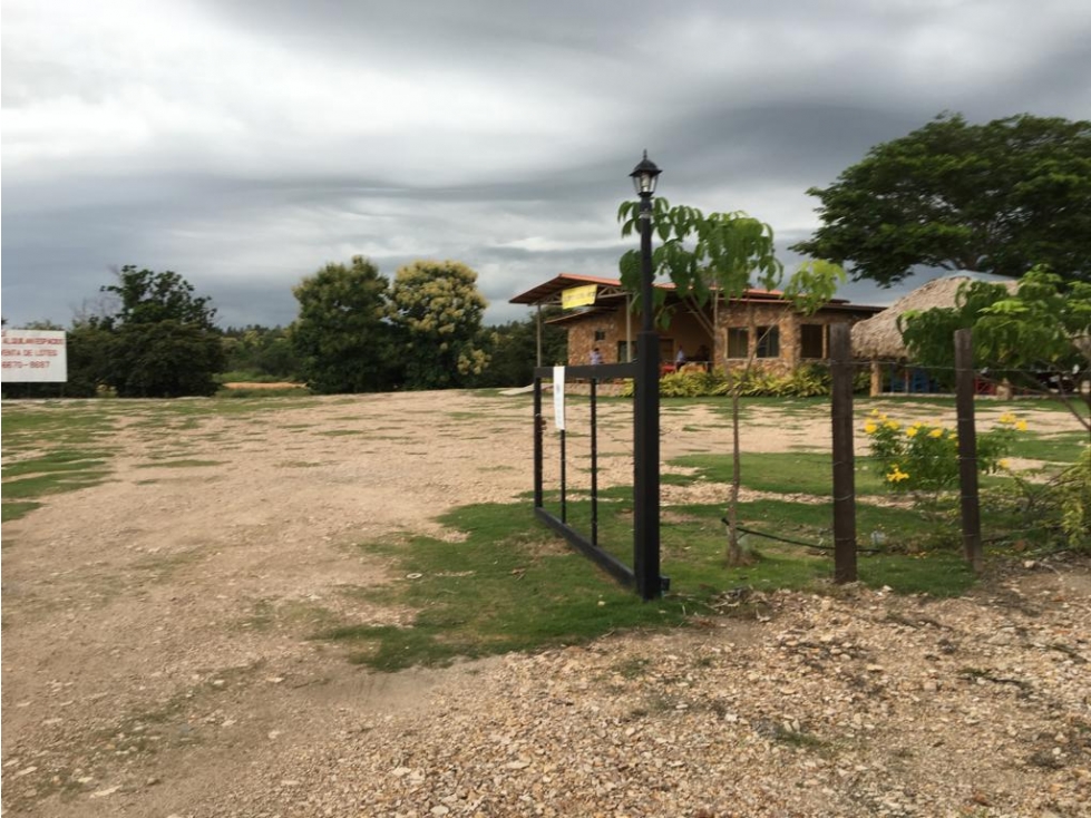 COCLE / SANTA CLARA / 32000M / FRENTE A PANAMERICANA / COMERCIAL / AG - 2