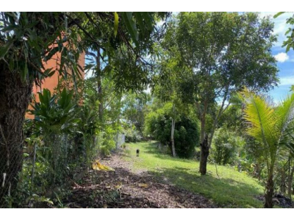 COCLE / LAS GUIAS / 40 HECTAREAS / USO COMERCIAL / SOBRE LA VIA / AG - 2