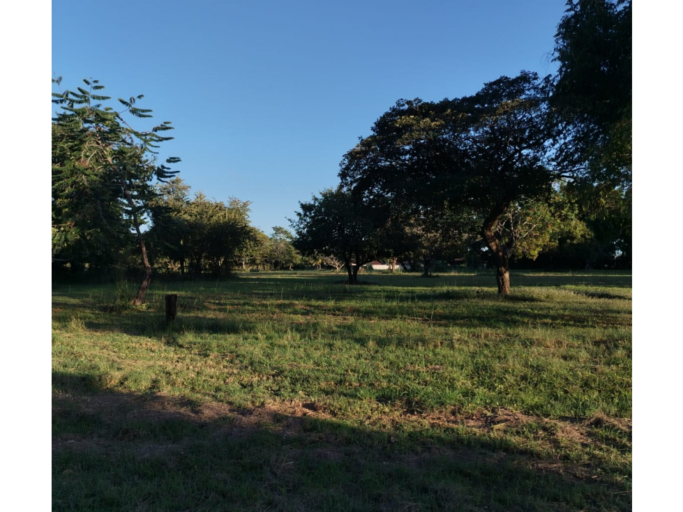 SE VENDE FINCA EN CORONADO BOULEVARD 6.8 HECTAREAS 50.00 M DESARROLLO