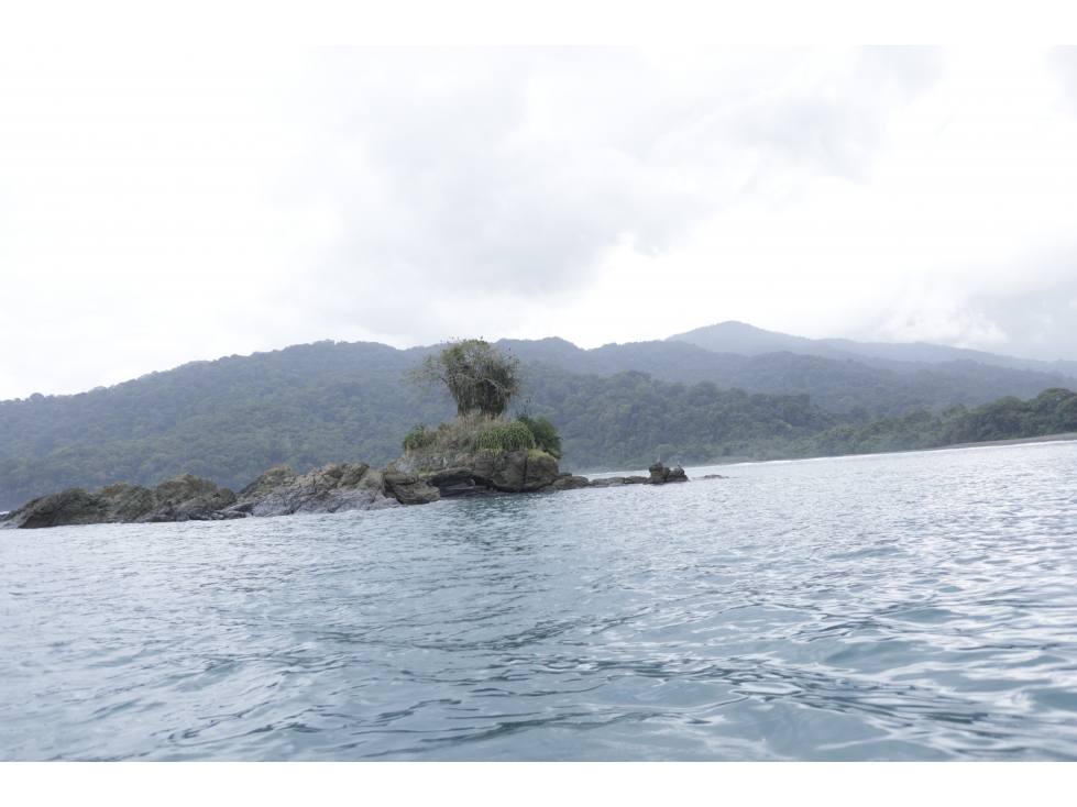 DARIEN / BAHIA PIÑA / 820 HECTAREAS / ISLA TOTALMENTE VIRGEN / AG - 6