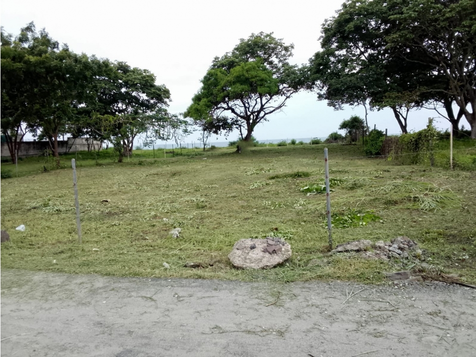 NUEVA GORGONA / MALIBU / 1000M / FRENTE AL MAR / AG — foto 2