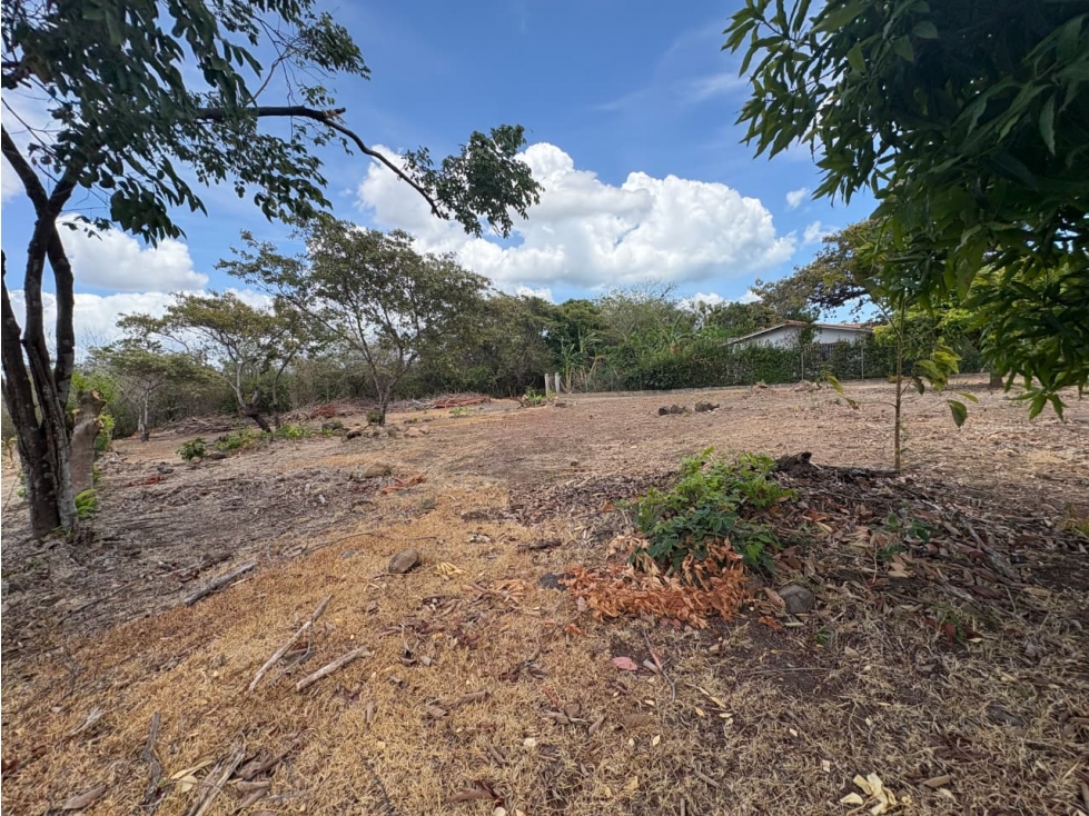 SAN JOSE / 1000M / TERRENO PLANO / SOBRE LA VIA / CERCA DE PLAYA / AG — foto 2