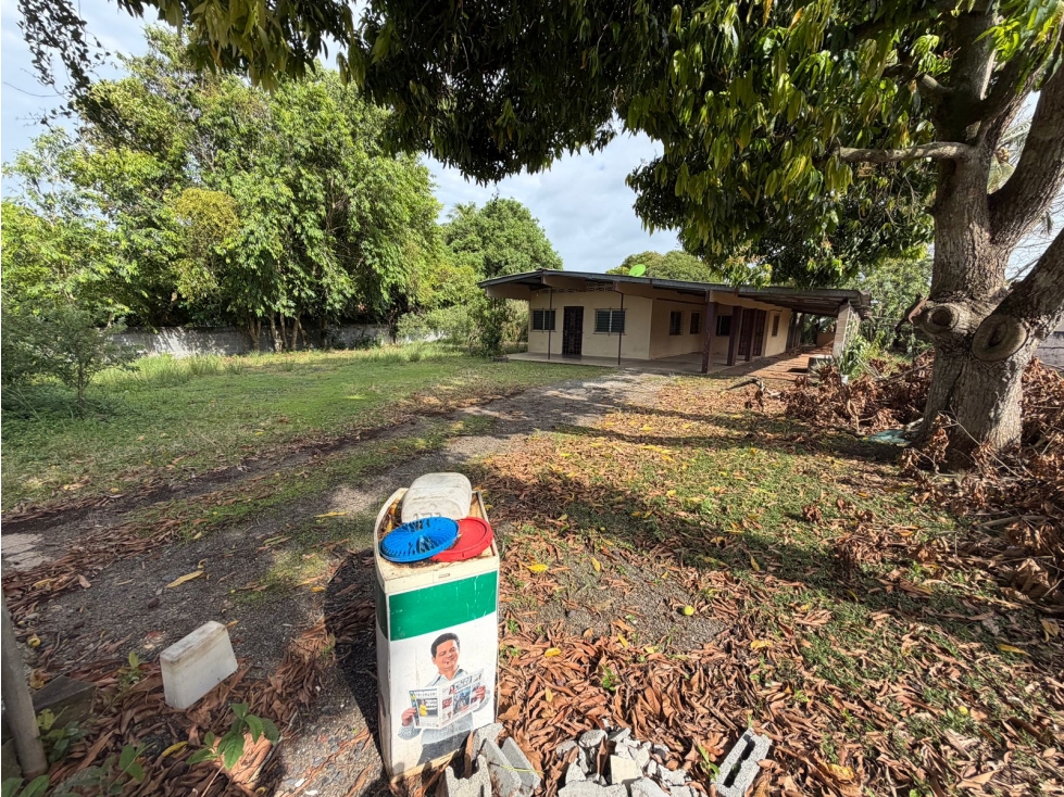 SE ALQUILA CASA COMERCIAL EN CHORRERA DE 1200M CERCA DEL MERCADO — foto 2