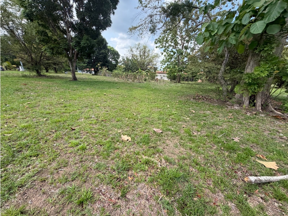 VENDO TERRENO CERCA DE PLAYA EN LA COLONIA DE CHAME 960M — foto 3