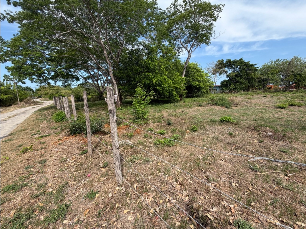 TERRENO / CHAME / 2000 M2 / PLAYA MALIBU / SEGUNDA LINEA DEL MAR — foto 6