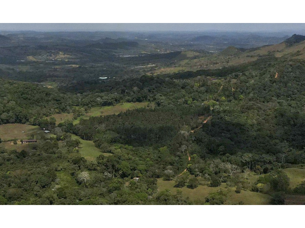 LOTE / CAPIRA / CERMEÑO / 21 HECTAREAS / INVERSION / REMATE