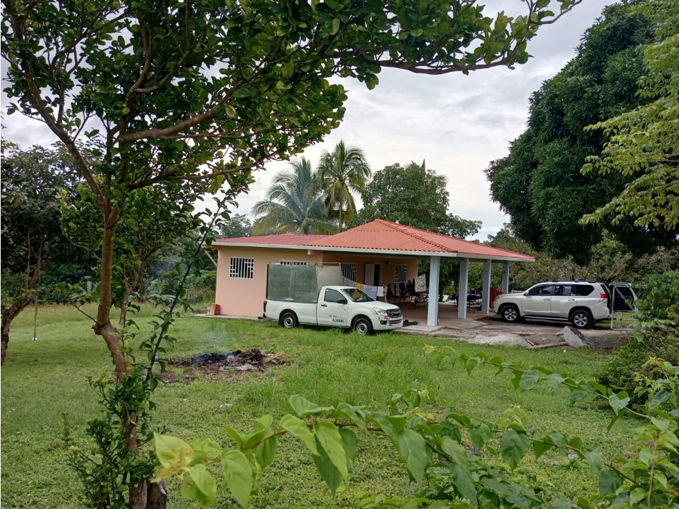 TERRENO / CHAME / 3200 M2 / LOTE PLANO / VÍA ASFALTADA — foto 3