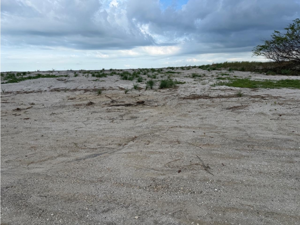 TERRENO / GORGONA / PLAYA MALIBÚ / 1200 M / FRENTE AL MAR — foto 4