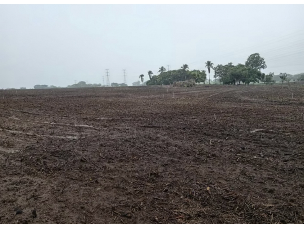 FINCA / COCLE / ANTON / 5.5 HECTAREAS / CON POZO - 2