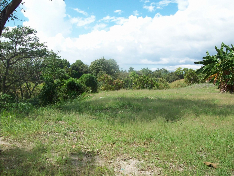 SE VENDE TERRENO EN CORONADO 1543 M2 CON VIA ASFALTADA — foto 3