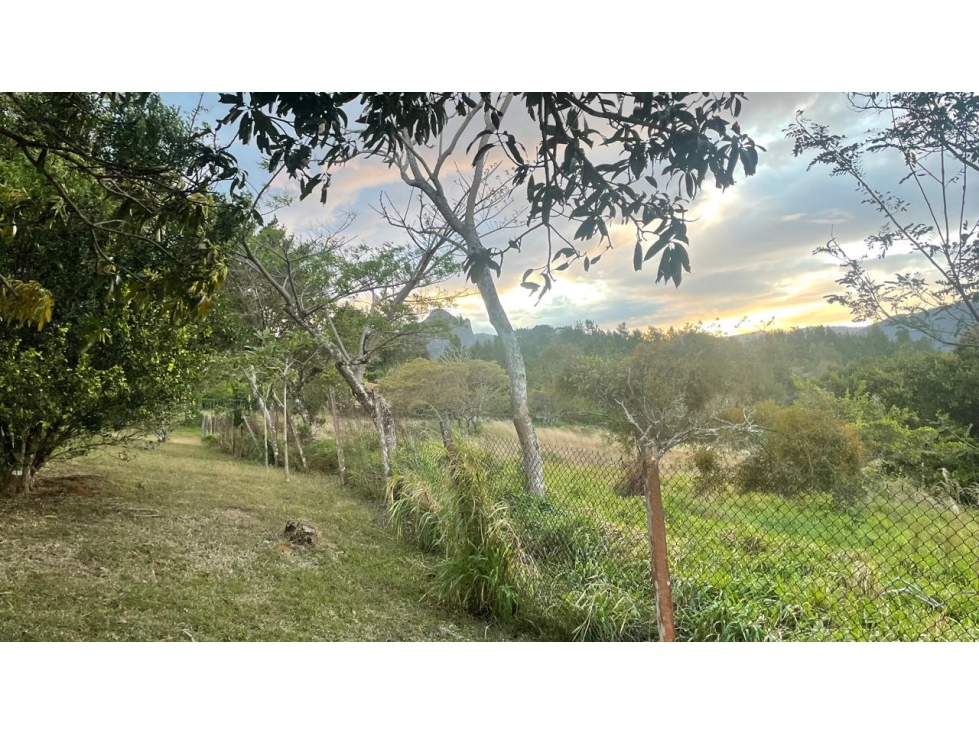 CHAME / SORA / 13.9 HECTAREAS / FINCA / VIA ASFALTADA / CLIMAS FRESCOS — foto 2