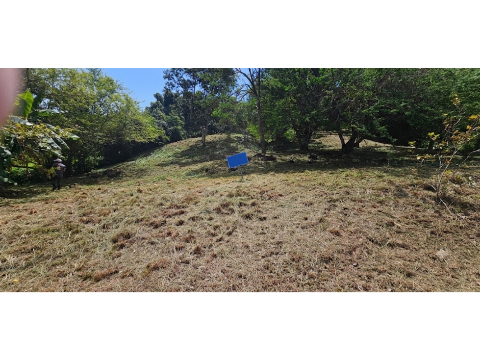 CHAME / ALTOS DE MARIA / 3005 M2 / ARBOLES FRUTALES / CLIMA FRESCO — foto 2