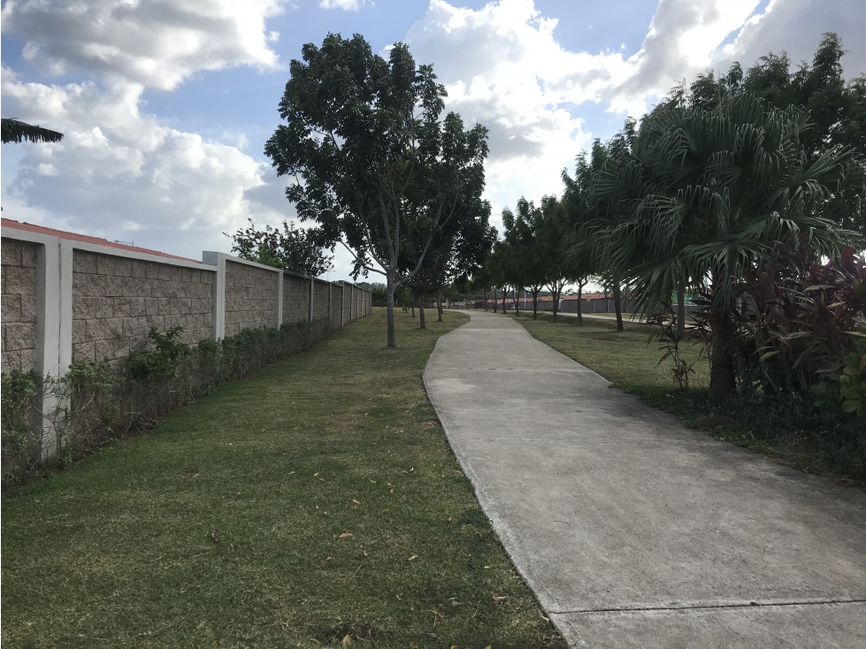 CHORRERA / ARBOLEDAS / LOS PINOS / 3 HABITACIONES / 180 M2 / VACIO — foto 4