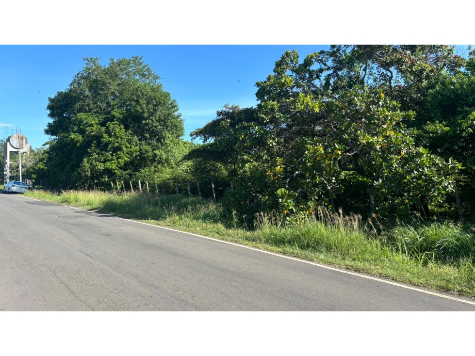 COCLE / NATA / 1.54 HECTAREAS / AMPLIO TERRENO / SOBRE VIA ASFALTADA - 2