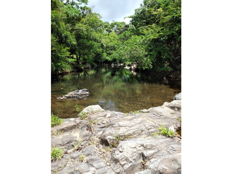 COCLE / LAS MINAS / 2 HABITACIONES / 10705 M2 / ENTORNO NATURAL - 4