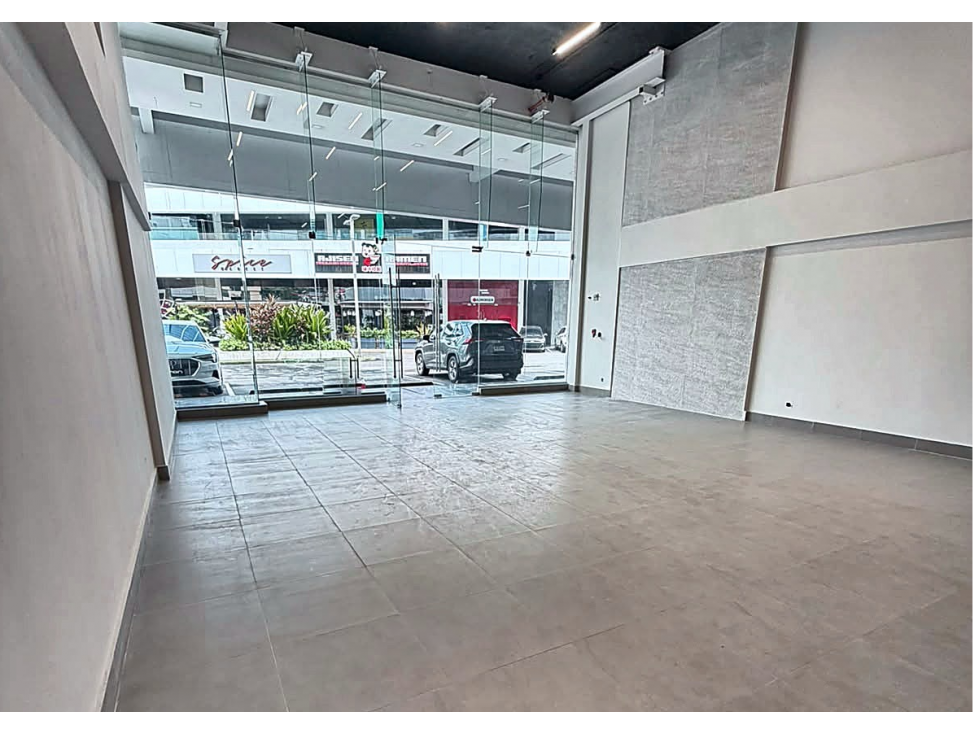 LOCAL / VIA BRASIL / 217M / 1 BAÑO / DIVISIONES / MEZZANINE
