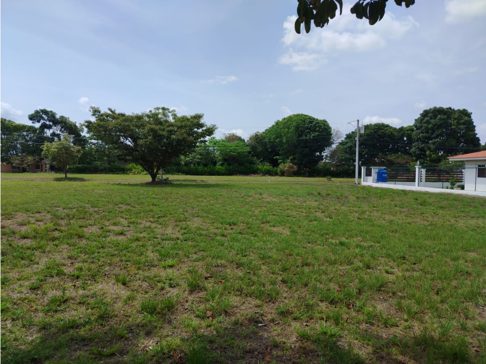 CHAME / LA COLONIA / 1000 M2 / TERRENO PLANO / ZONAS VERDES / PISCINA