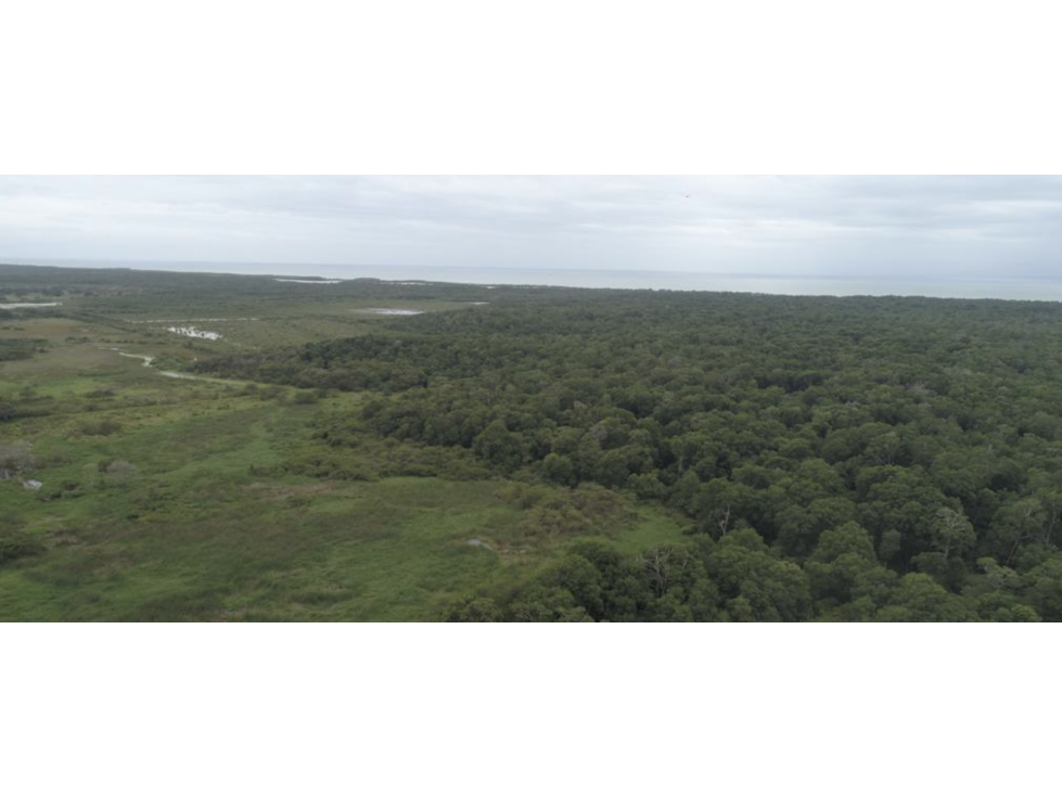 COCLE / ANTON / 132 HECTAREA / TERRENO / ZONAS VERDES / FRENTE AL MAR - 1